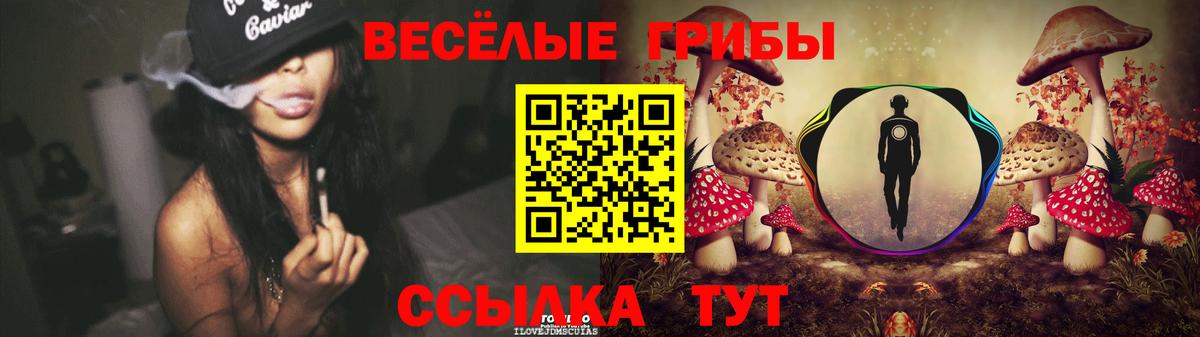 Вязьма  Псилоцибиновые грибы Cubensis  Вход с VPN  Галлюциногенные грибы Psilocybe 